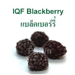 Blackberry